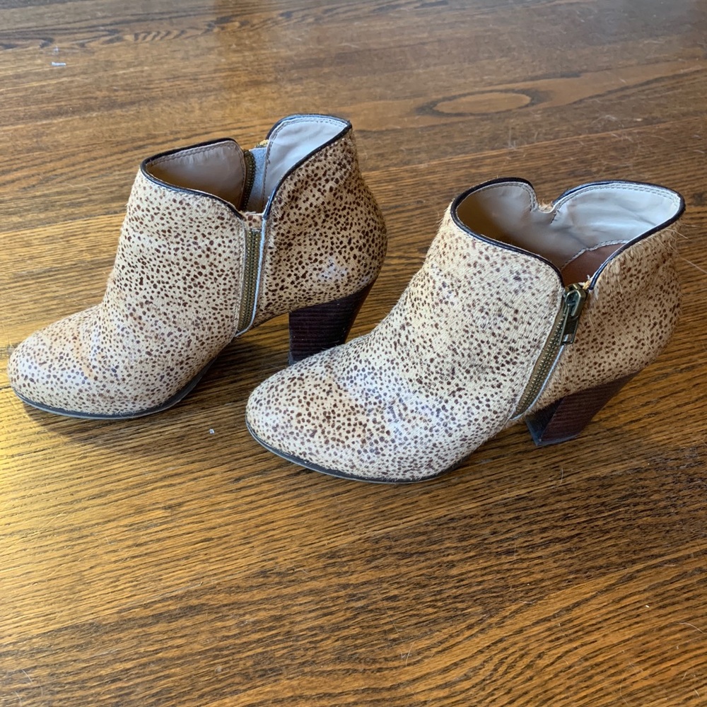 Sole society leopard booties